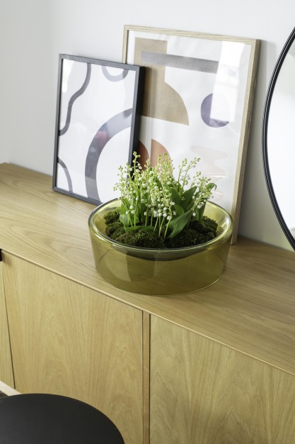 bol decoración